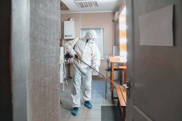 Best Airborne Mold Testing  in Salt Creek Commons, IN