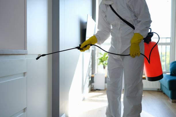 Asbestos and Lead Testing During Mold Inspection in Salt Creek Commons, IN