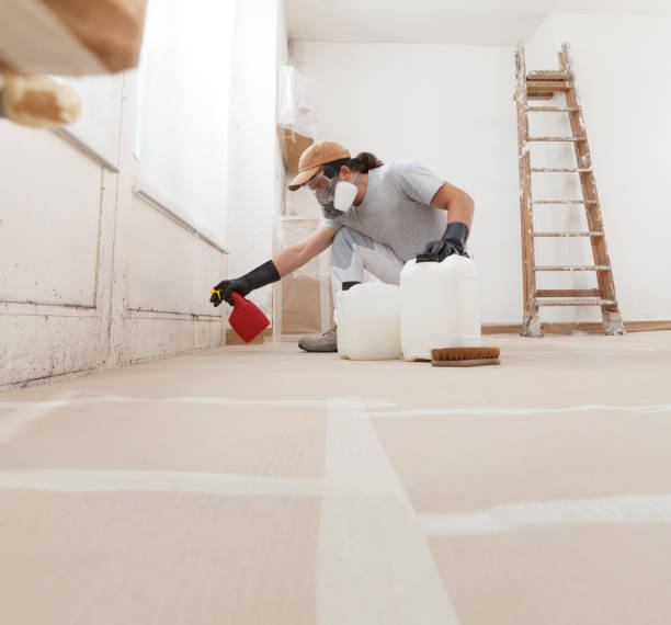 Best HVAC Mold Inspection and Cleaning  in Salt Creek Commons, IN